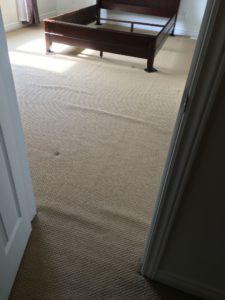 Bumps_in_carpet2