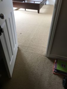 Bumps_in_carpet_removed