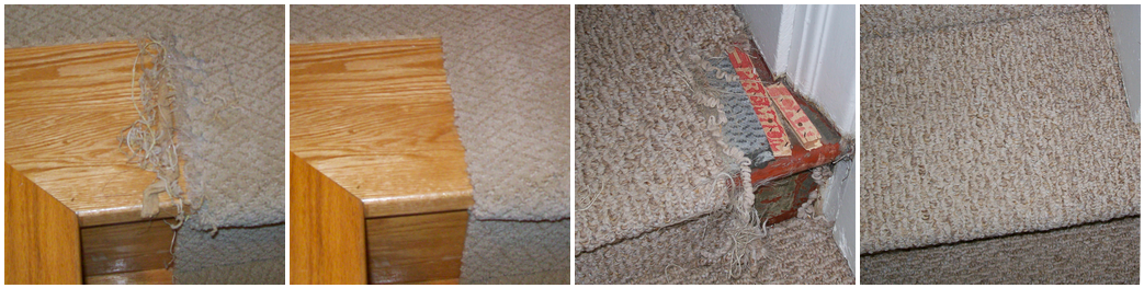 Carpet damage example